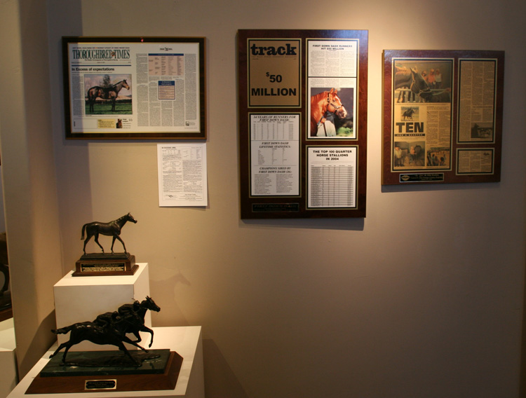equine06