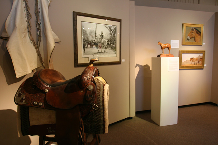 equine24