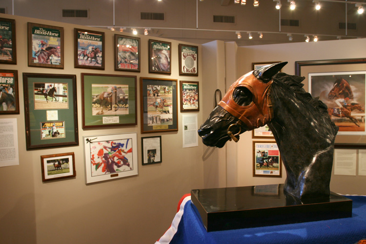 equine30